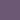 Iris Iris