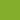 Wasabi Wasabi