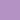 Orchid Orchid