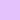 Orchid Orchid