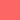 Coral Coral