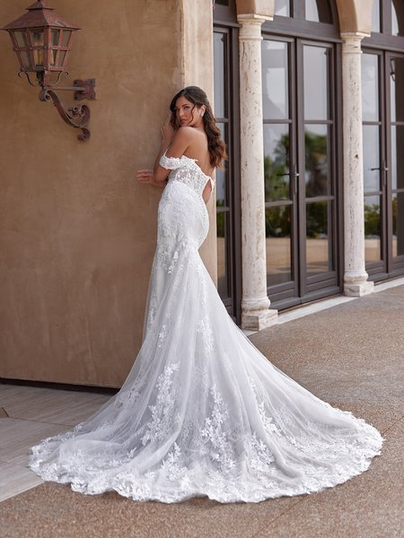 Unlined Illusion Open Back Detachable Swag Sleeves Mermaid with Sweep Train Moonlight Collection J6958