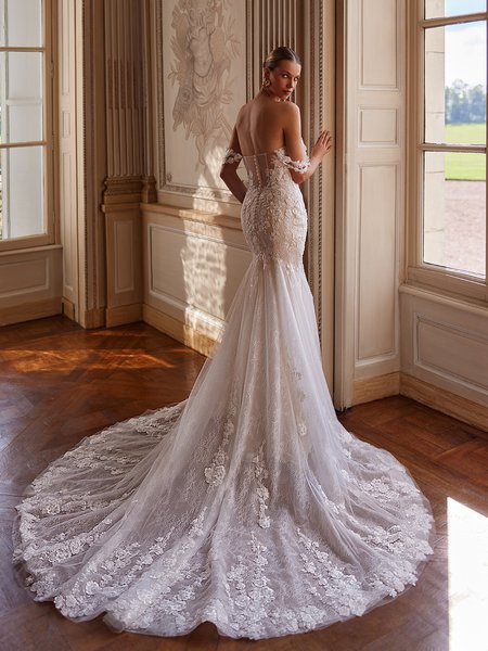 Illusion Open Back Re-Embroidred Lace Appliques and Net Mermaid Gown with Chapel Train Moonlight Collection J6962